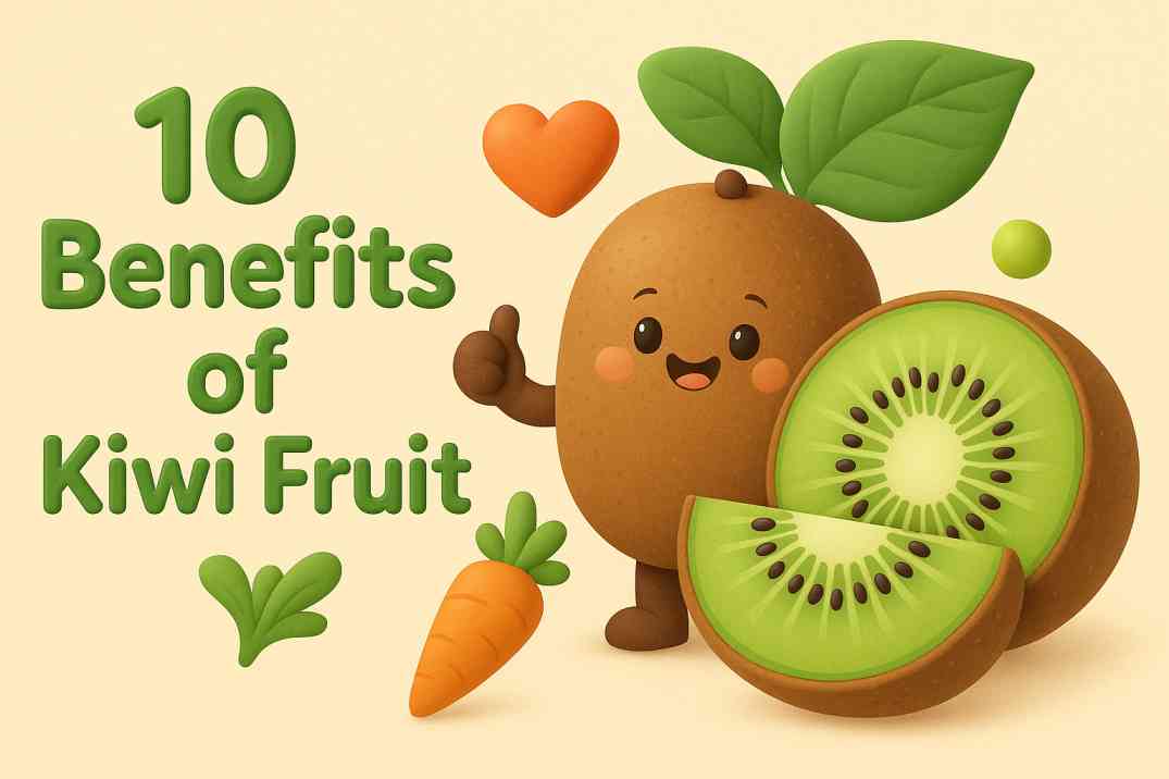 10 Benefits of Kiwi Fruit, Its Uses and How It Supports Your Health