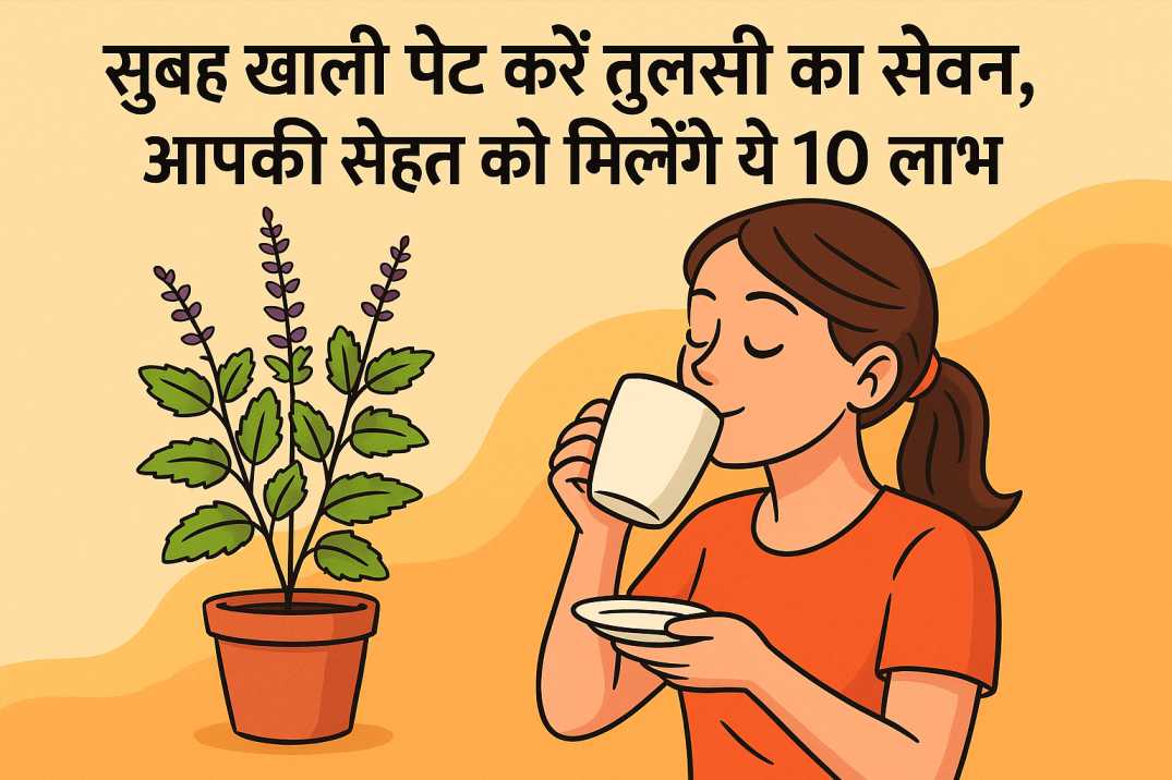 सुबह खाली पेट करें तुलसी का सेवन, आपकी सेहत को मिलेंगे ये 10 लाभ