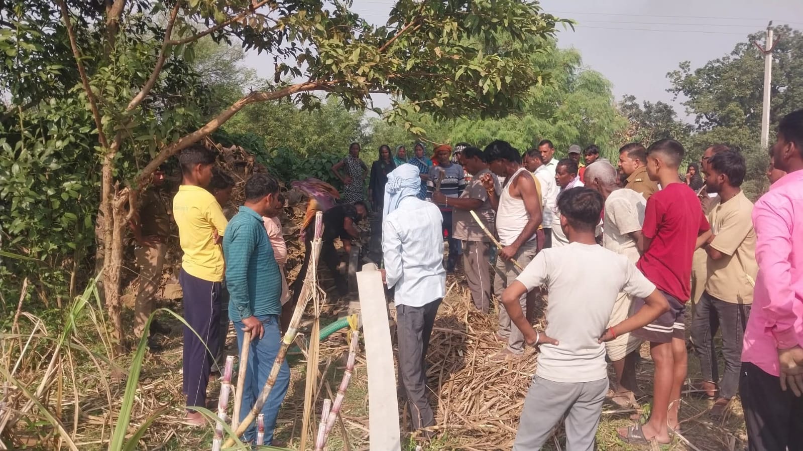 Basti: अज्ञात कारणों से लगी आग में पाँच किसानों की गन्ने की फसल जलकर खाक