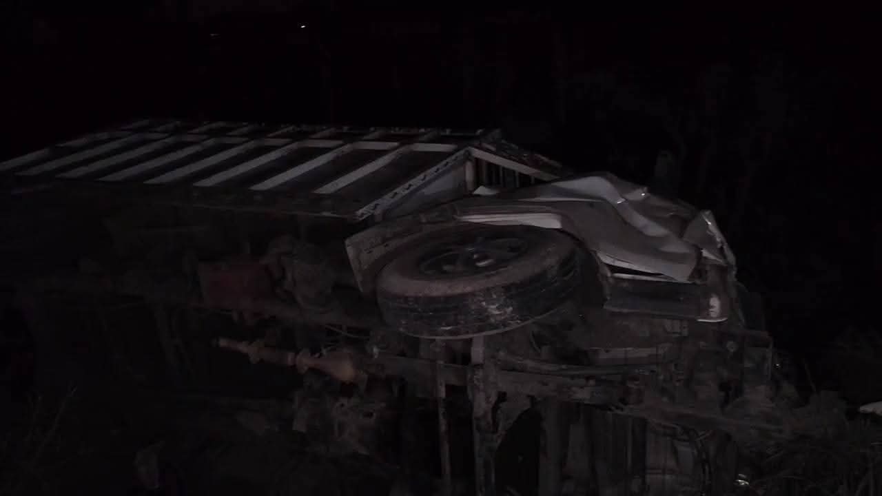 Basti: छुट्टा गोवंश को बचाने में अनियंत्रित हुई पिकअप, सड़क किनारे पलटी