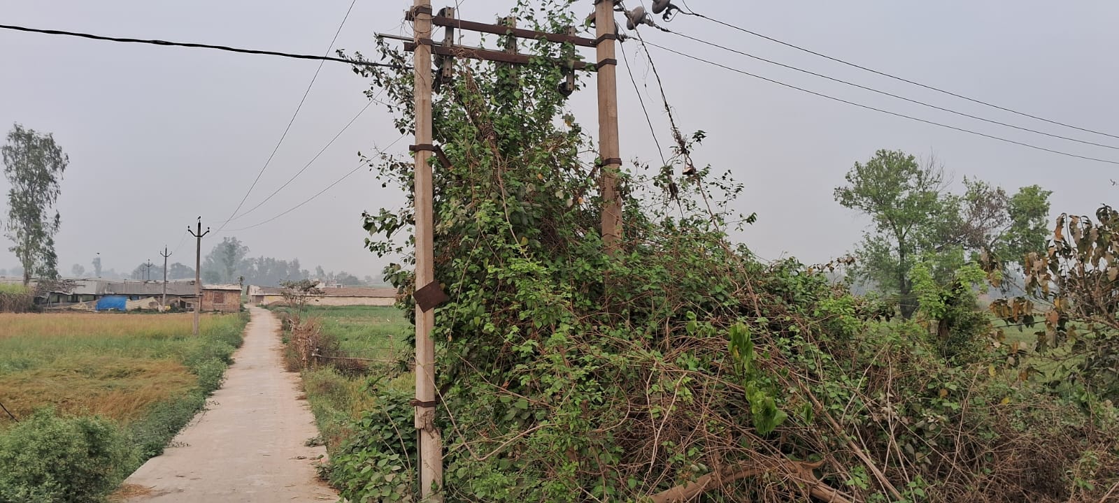 कुदरहा: विद्युत विभाग की लापरवाही से खतरे में राहगीरों की जान