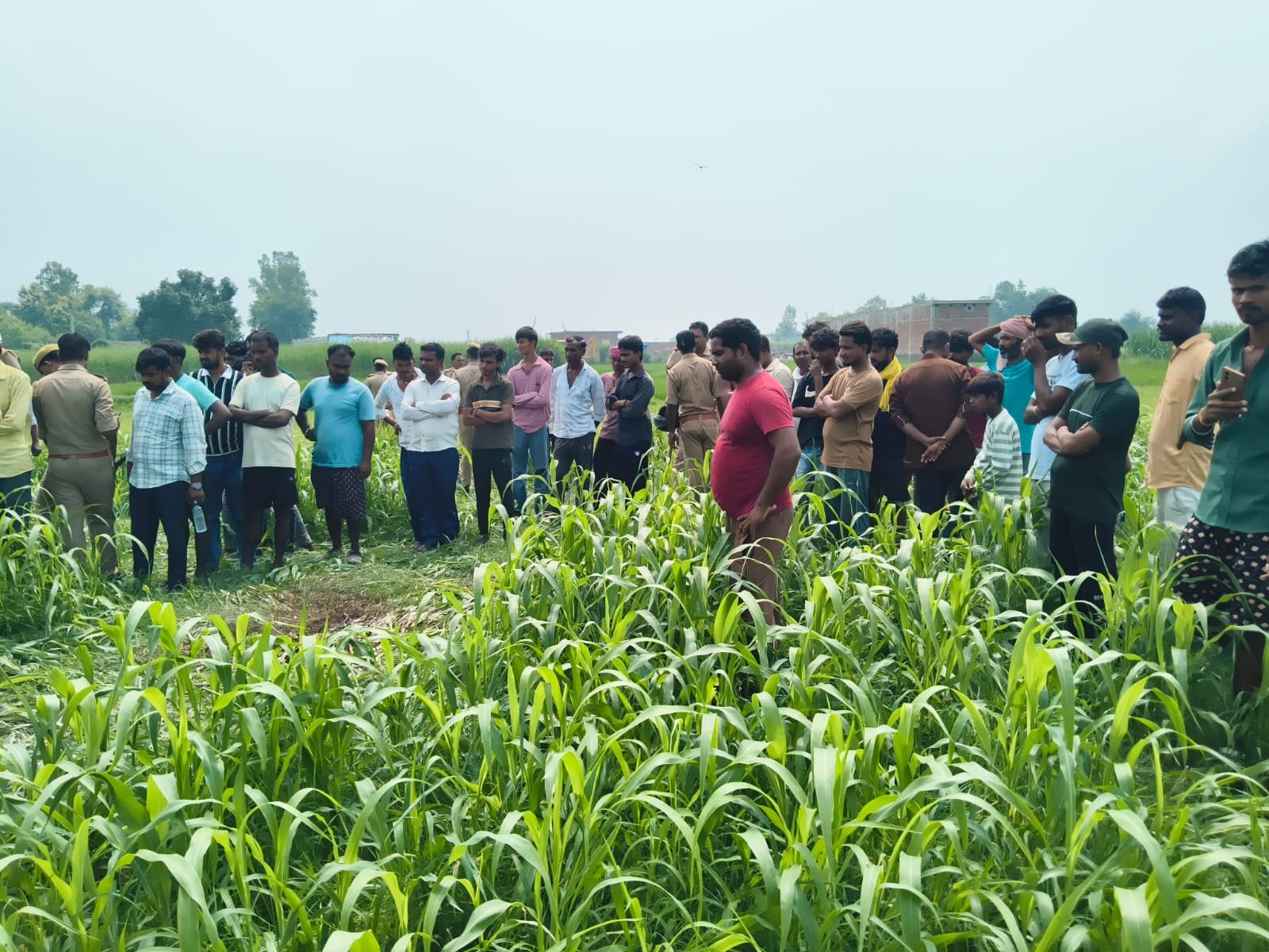 Basti: खेत में संदिग्ध गोवंश के अवशेष मिलने से मचा हड़कंप, जांच के लिए भेजे गए सैंपल