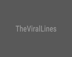 सुप्रीम कोर्ट ने द्वितीय और चौथे शनिवार की छुट्टियां रद्द कीं, जुलाई 2025 से सभी शनिवार को खुलेंगी अदालतें