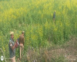 नाबालिग से दुष्कर्म का प्रयास, ग्रामीणों ने पकड़ा आरोपी