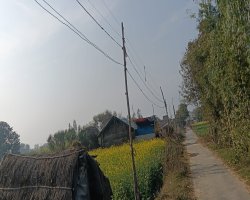 Basti: ग्रामीणों की सुरक्षा दांव पर: जर्जर लकड़ी के खंभों के सहारे चल रही बिजली, विधायक ने उठाई आवाज