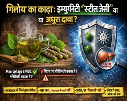 गिलोय का काढ़ा: क्या यह सचमुच इम्युनिटी को “स्टील जैसी” बना देता है, या दावा आधा सच है?