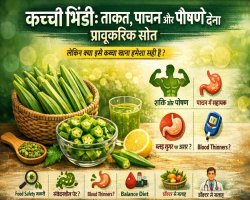 कच्ची भिंडी: ताकत, पाचन और पोषण का प्राकृतिक स्रोत, लेकिन क्या इसे कच्चा खाना हमेशा सही है?